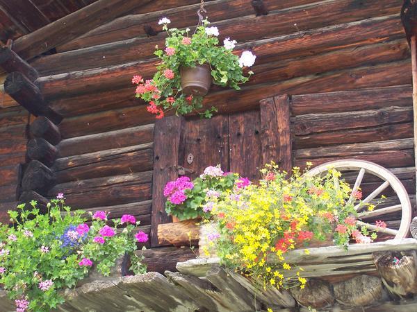Mürren chalet with flowers
