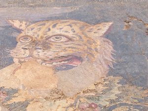 Jaguar mosaic