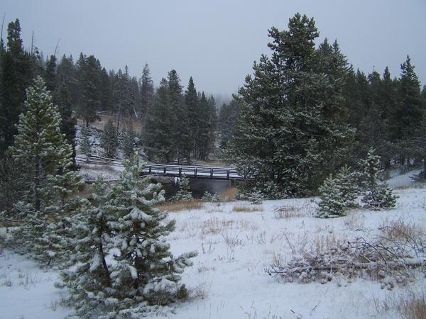 Snowy trail view 