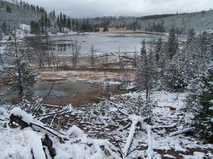 Snowy pond view