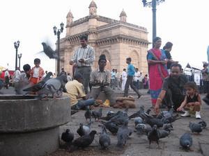 Come for the Gateway, stay for the pigeons
