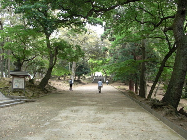 Walking through a temple park