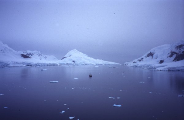 3.3 An enclosed bay on the Antarctic Peninsular