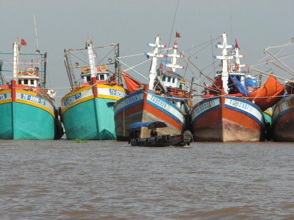 Junk Boat and Fishing Boats