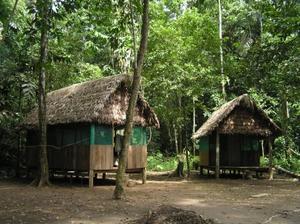 Our Camp in the Jungle