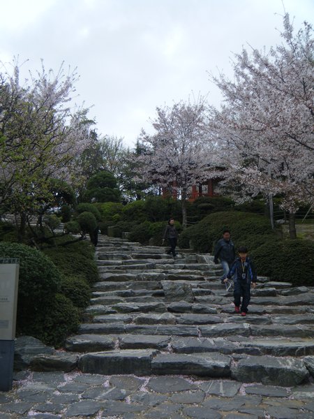 Korea spring 2 018