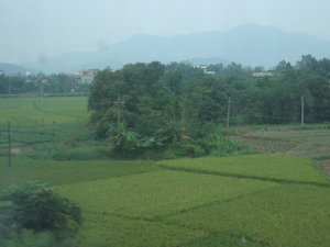 On the way to Nanning