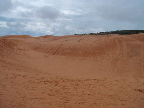 The sand dunes