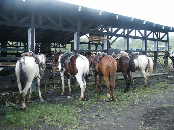 Horseback riding by Arenal