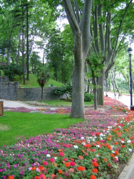 Flowers, Gulhane Parki