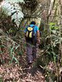 Hiking Amboro National Park