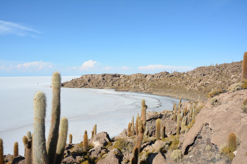 Inca Island at Salt Flats Of Uyuni
