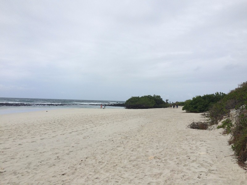Beach at Galapagos