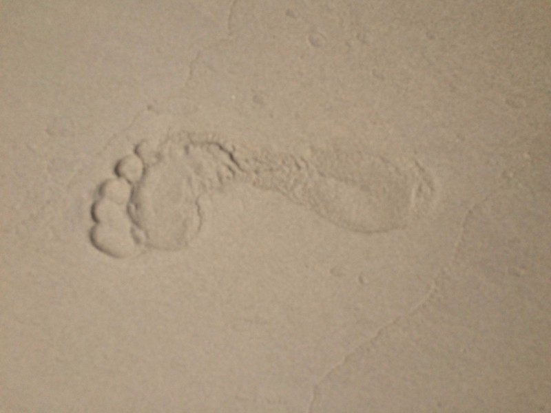 Leave nothing but footprints ....