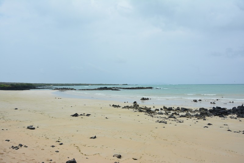 Beach at Galapagos