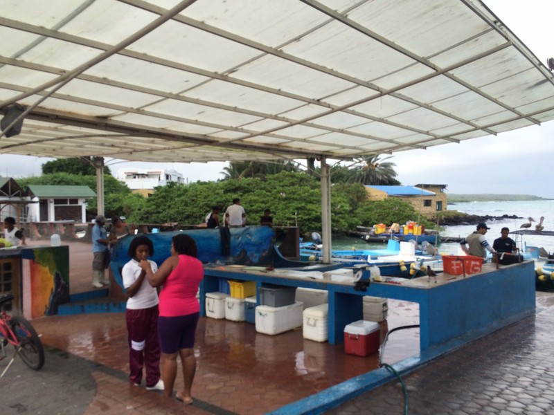 Market at Puerto Ayora
