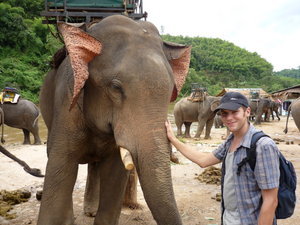 Elephant on boat trip between Tha Ton and Chiang Rai, Thailand