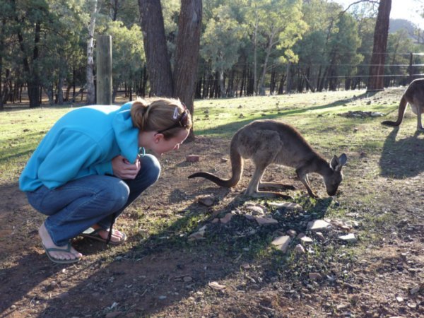 Me with said kangaroo