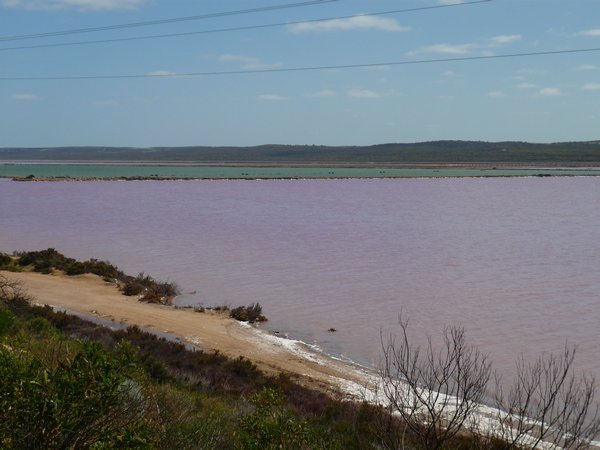 Pink Lake at Port Dennison