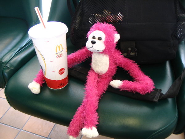 Pinky Monkey Waiting Patiently