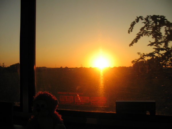 Sunset on the train.