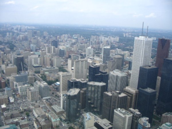 View of Toronto From the Tower