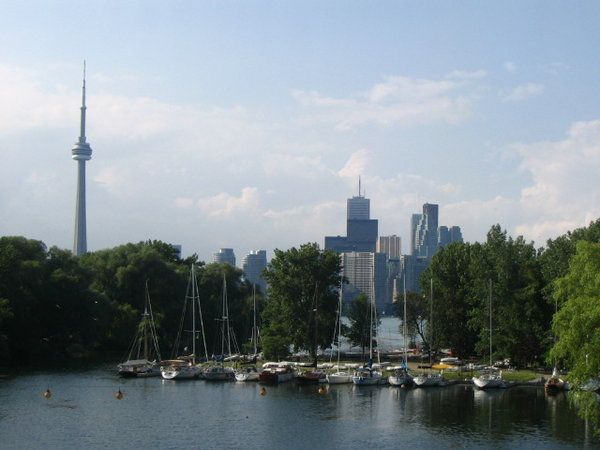 View of the CN Tower from the park.