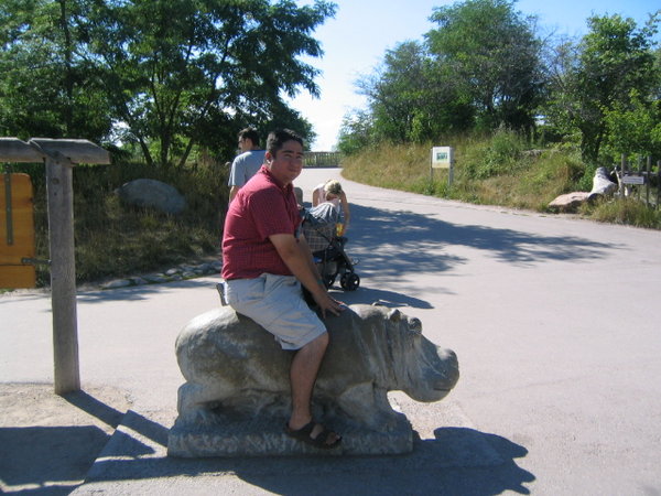 Riding a Hippo