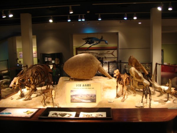 Hall of Geology and Paleantology