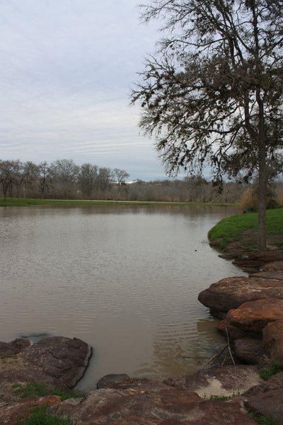 Pond at Palmetto State Park