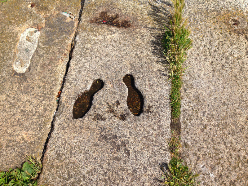 Monarch's Footprints!