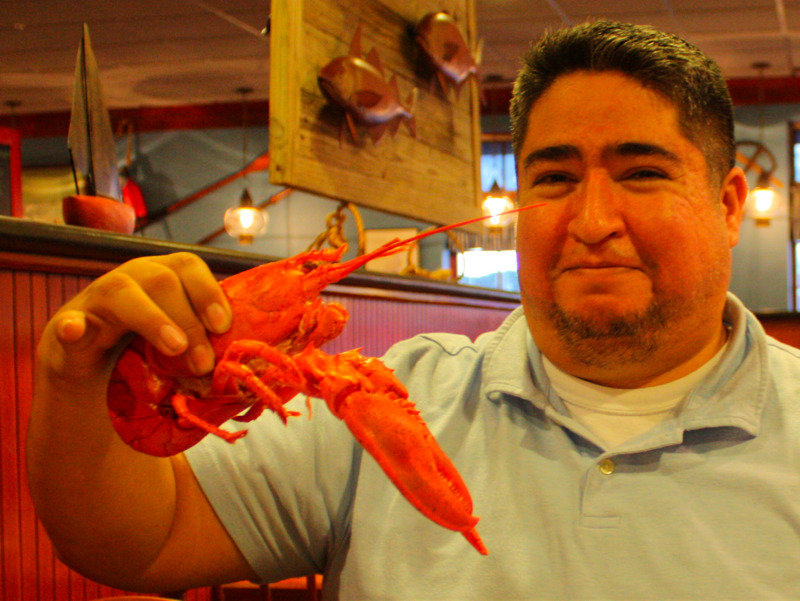 I Heart Lobsters