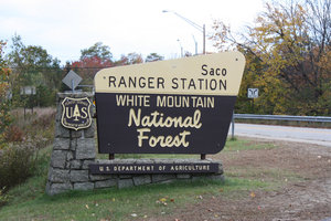 White Mountain National Forest