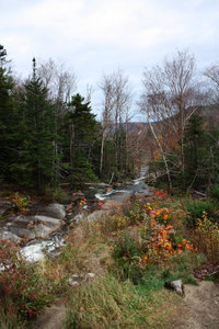 New England Stream