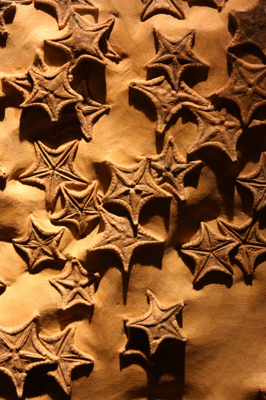 Fossil Stars