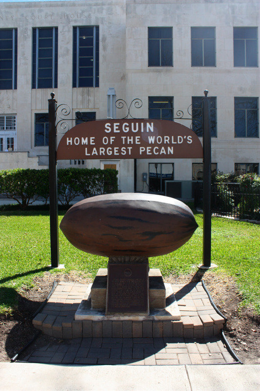 World's Largest Pecan