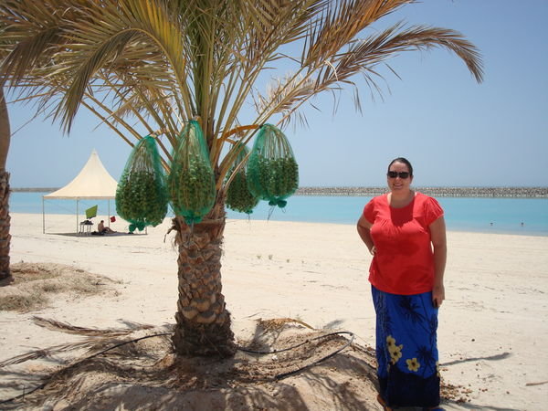 Me & the Palm Tree