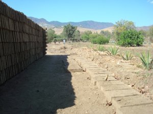 View of Bricks and Maguey Nursery