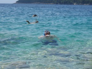 T snorkelling