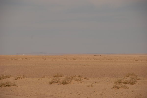 One ger in the middle of the gobi