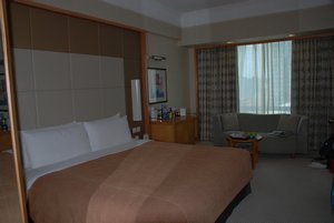 Posh Hotel Room