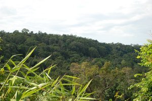 More of the Cardamom Mountains
