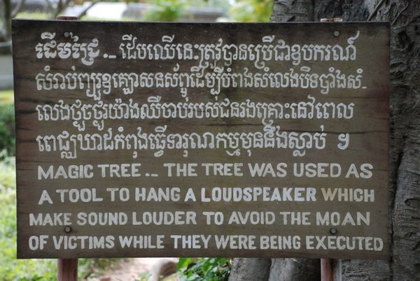 Explanation of the Magic Tree