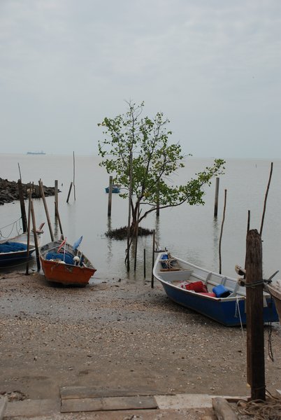 Boats By the Portuguese Settlement