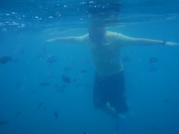 T Swimming with the Fishes