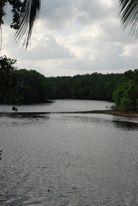 Cherating River