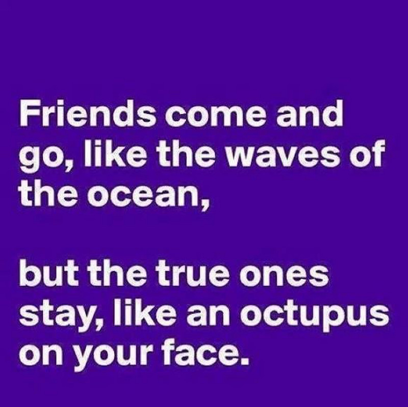 crazy-funny-friendship-quotes