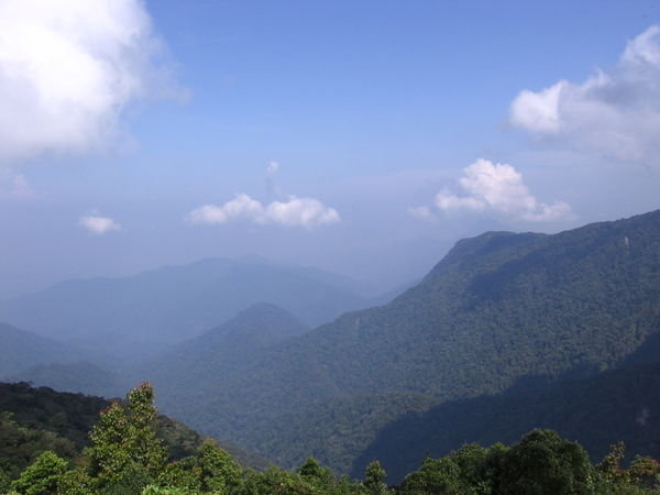 The view from Gunung Brinchang at 2000m above sea level