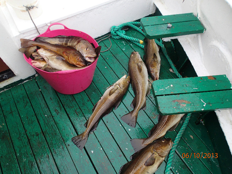 Our Catch