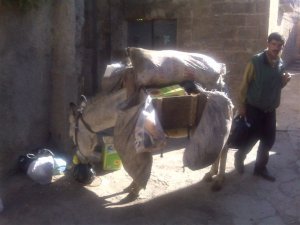 Donkey Recycling